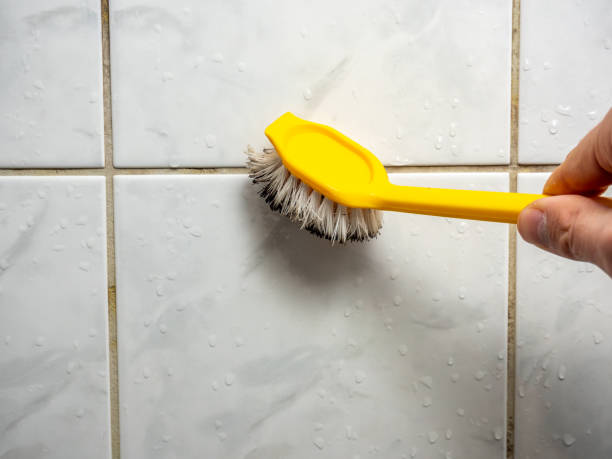 Best Mold Testing and Inspection Services in Iron Mountain, MI