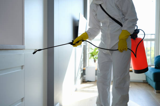 Best DIY Mold Remediation Support Services in Iron Mountain, MI