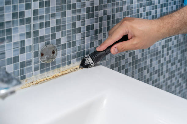 Best Mold Testing and Inspection Services in Iron Mountain, MI